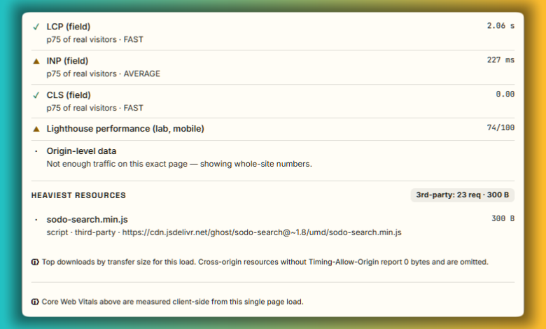 SEOdin's PageSpeed Insights report showing real-world field data from Google's endpoint.